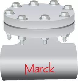 FORGED CARBON STEEL “T” – TYPE STRAINER